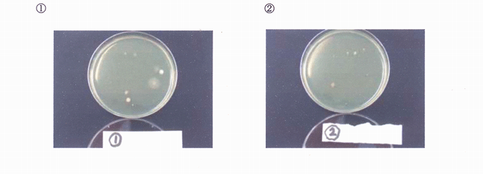 ���V�ۑ��茋��