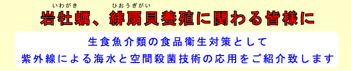 �≲�E�y���L�{�B