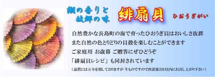 �������ߔ��L