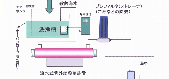 �E�ۊC���ɂ�鋛��ސ��2